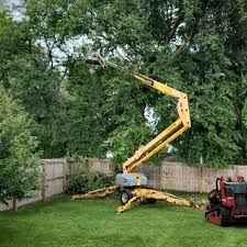Best Seasonal Cleanup (Spring/Fall)  in Lake Brownwood, TX
