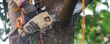Best Soil Testing and Treatment  in Lake Brownwood, TX