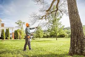 Best Landscape Design and Installation  in Lake Brownwood, TX