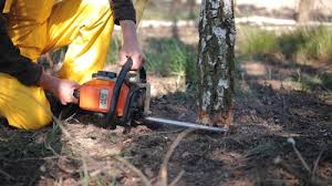 Best Lawn Mowing  in Lake Brownwood, TX