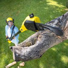  Lake Brownwood, TX Tree Services Pros