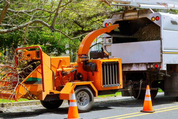 Best Arborist Consultation Services  in Lake Brownwood, TX